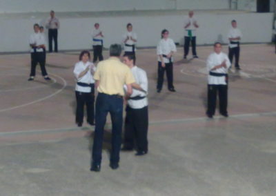 Demostración de Kung Fu