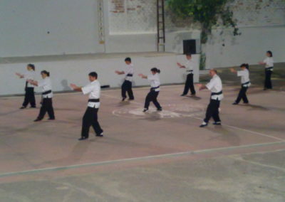 Demostración de Kung Fu