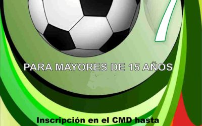 XII Liga de empresas de fútbol 7