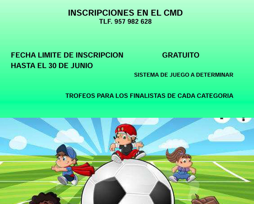 IX Campeonato de fútbol 7 infantil