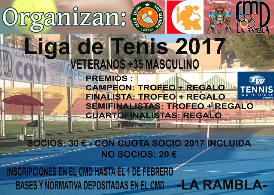 Ligas de tenis veteranos