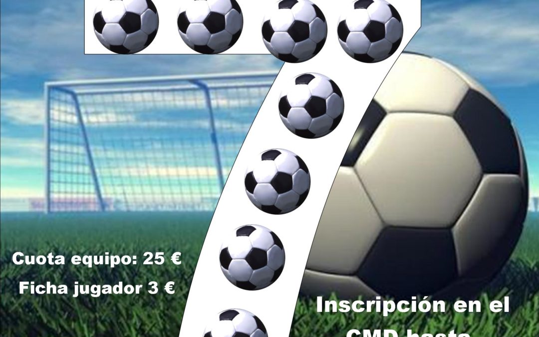 XIII Liga de empresas de fútbol 7