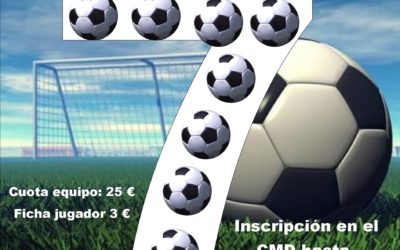 XIII Liga de empresas de fútbol 7