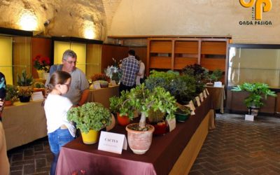 El Torreón de La Rambla acogió la XXVI Exposición de Macetas; la XXII Exposición de Bonsáis, y la XII Exposición de Cactus