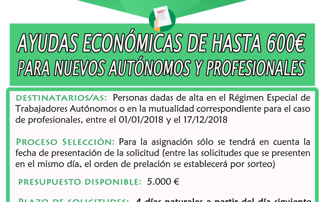 Programa Municipal de Ayudas al Emprendimiento