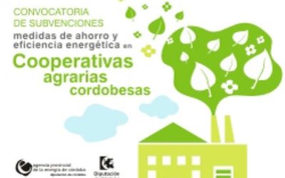 Subvenciones para actuaciones de eficiencia y ahorro energético de cooperativas en Córdoba