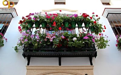 Este fue el resultado del XXIII CONCURSO DE BALCONES 2019 de La Rambla