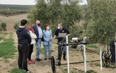 Cultura supervisa la prospección arqueológica en los terrenos donde fue hallada la leona de la Rambla